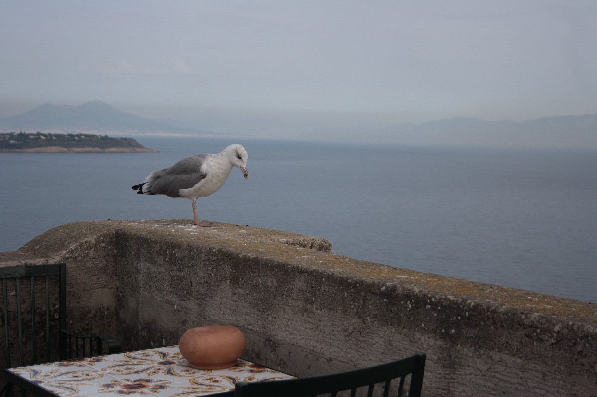 Ischia-e-il-Castello-Aragonese