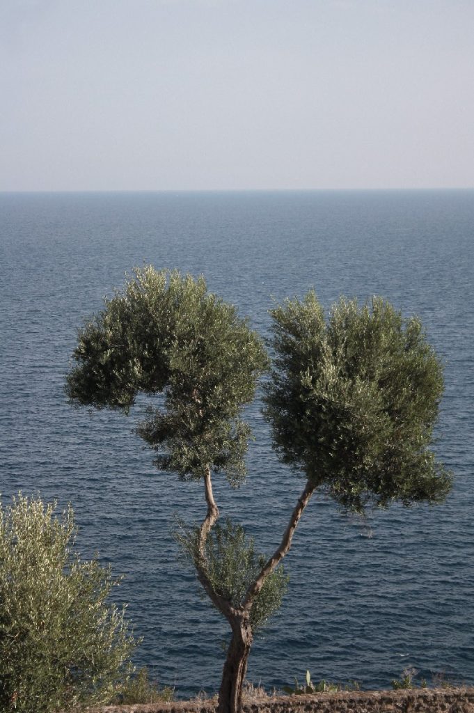 Ischia-e-il-Castello - Aragonese