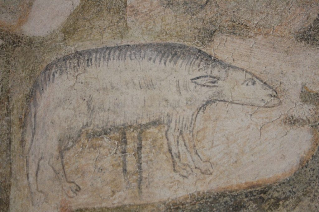 Ischia-e-il-Castello-Aragonese