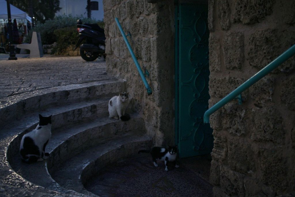 Jaffa - il - cuore - antico - di - Tel - Aviv Jaffa - il - cuore - antico - di - Tel - Aviv