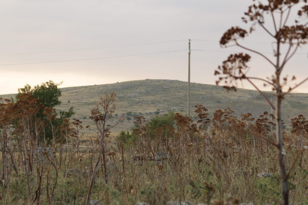 Viaggio - fotografico - fra - Murge - e - Matera