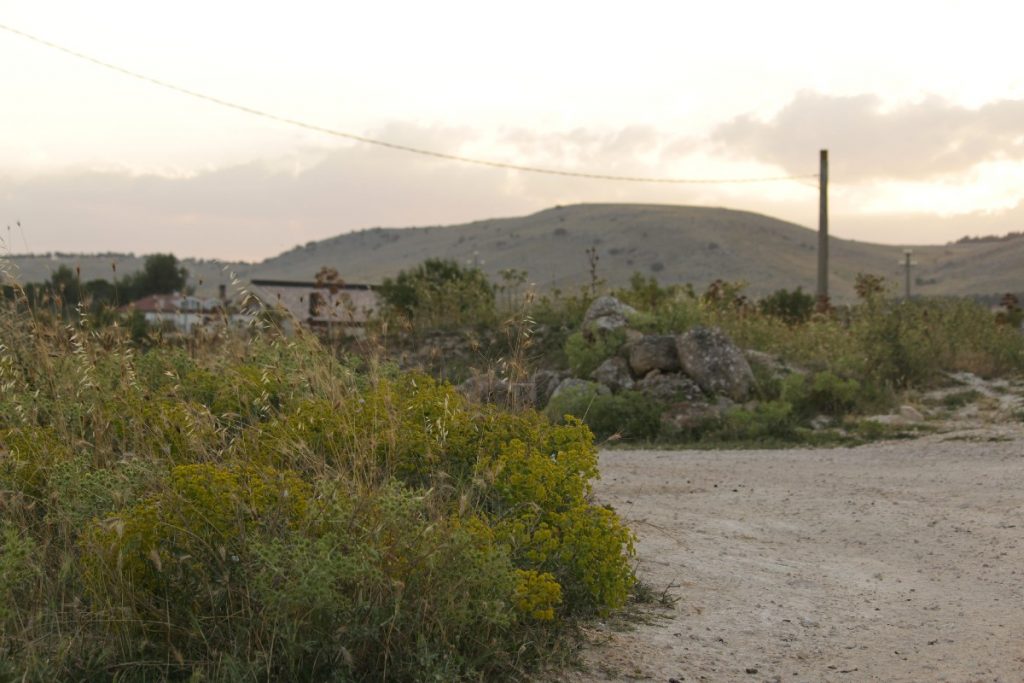 Viaggio - fotografico - fra - Murge - e - Matera