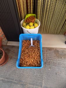 Edumotional-tour-Monti-Dauni-Troia