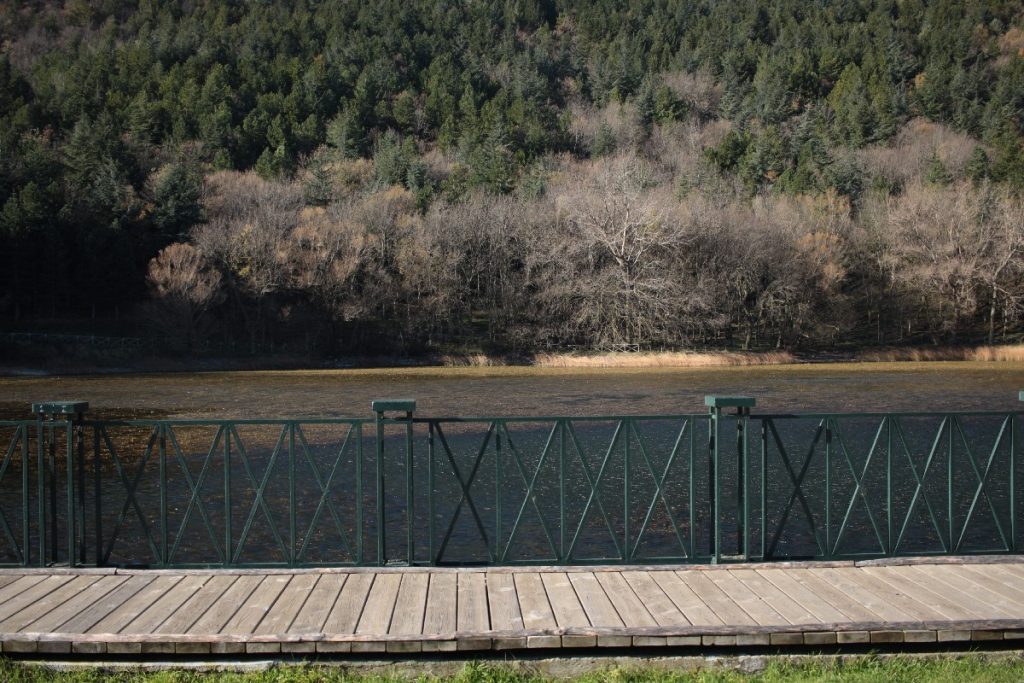 Press - tour - theke - la - daunia - troia - biccari