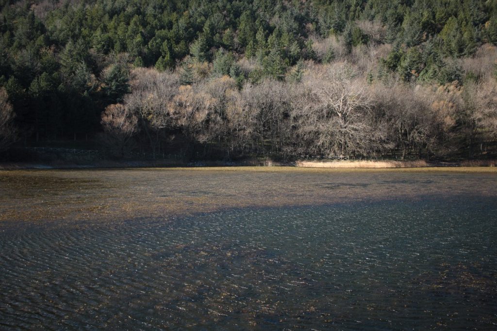 Press - tour - theke - la - daunia - troia - biccari